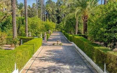 Las Palmeras en el Jardín