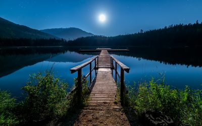 La luna y su influencia en el jardín