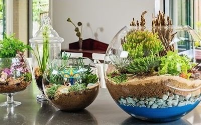 Un jardín en miniatura