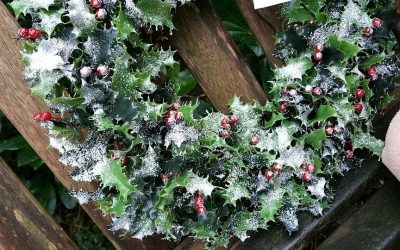 Tareas de Invierno en el Jardín