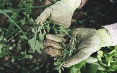 Ropa para trabajar en Jardinería